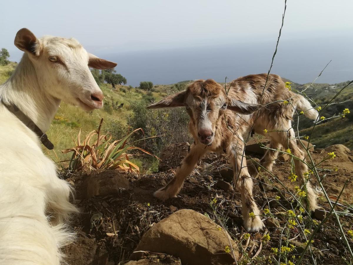 Sea Breeze Ecological Villa Ajía Galíni Kültér fotó