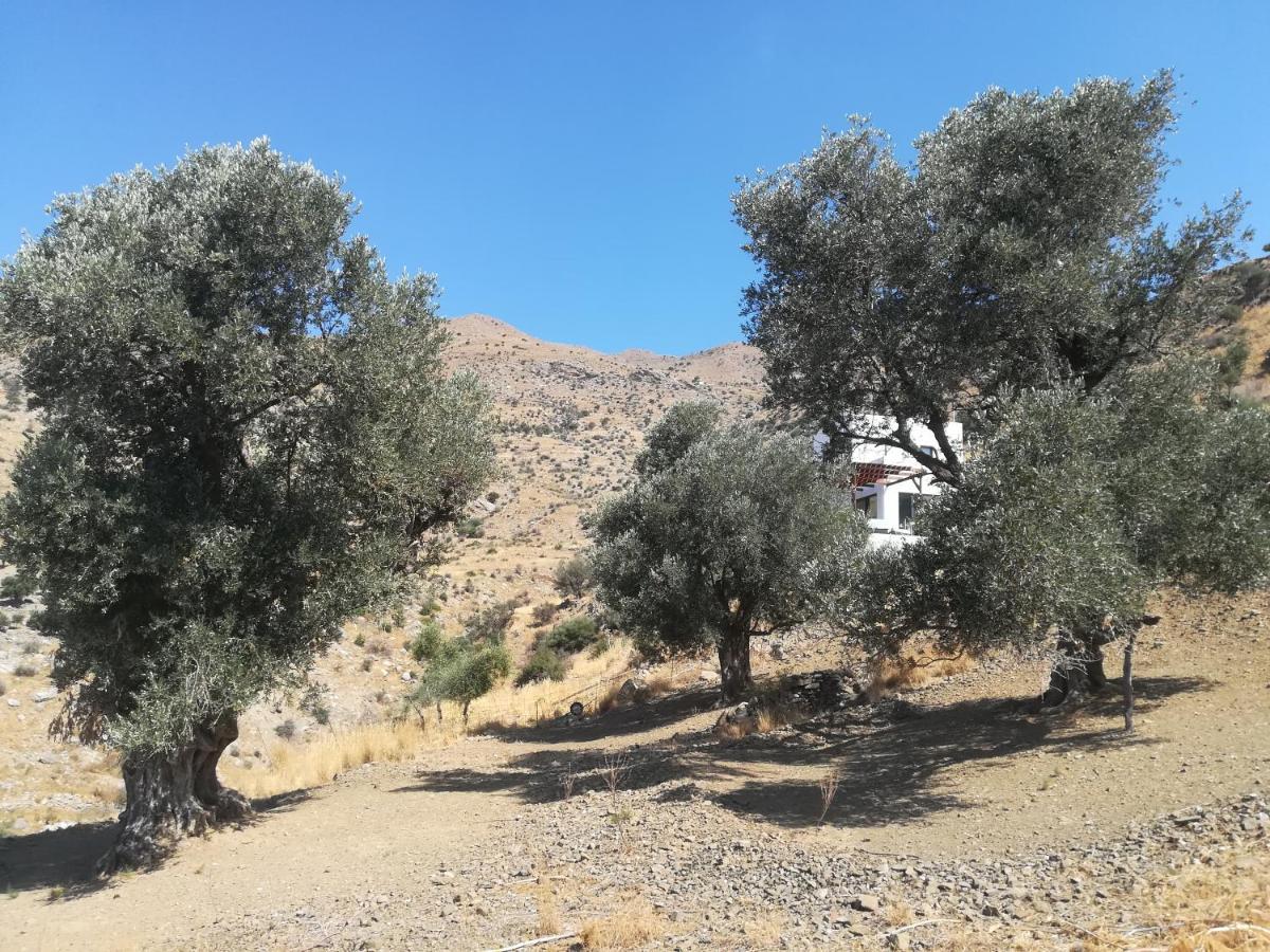 Sea Breeze Ecological Villa Ajía Galíni Kültér fotó