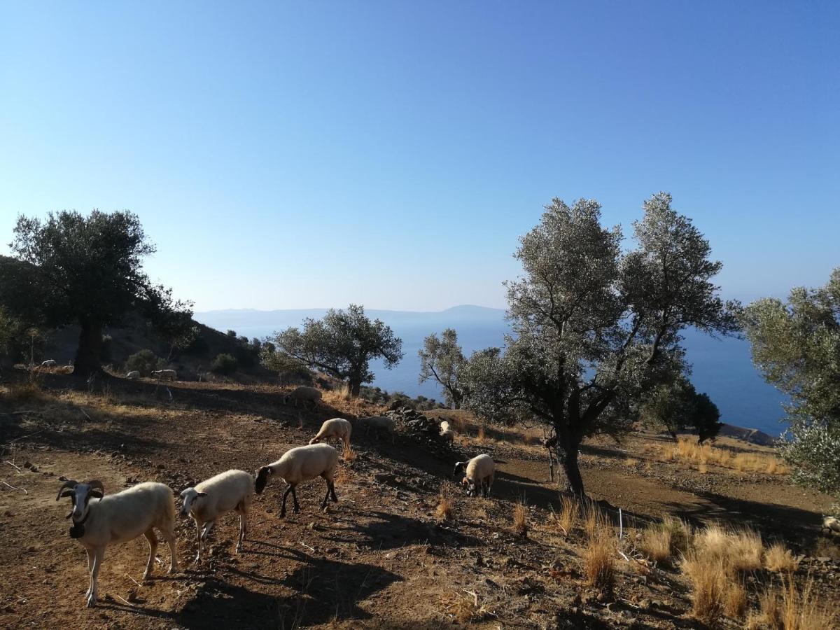Sea Breeze Ecological Villa Ajía Galíni Kültér fotó