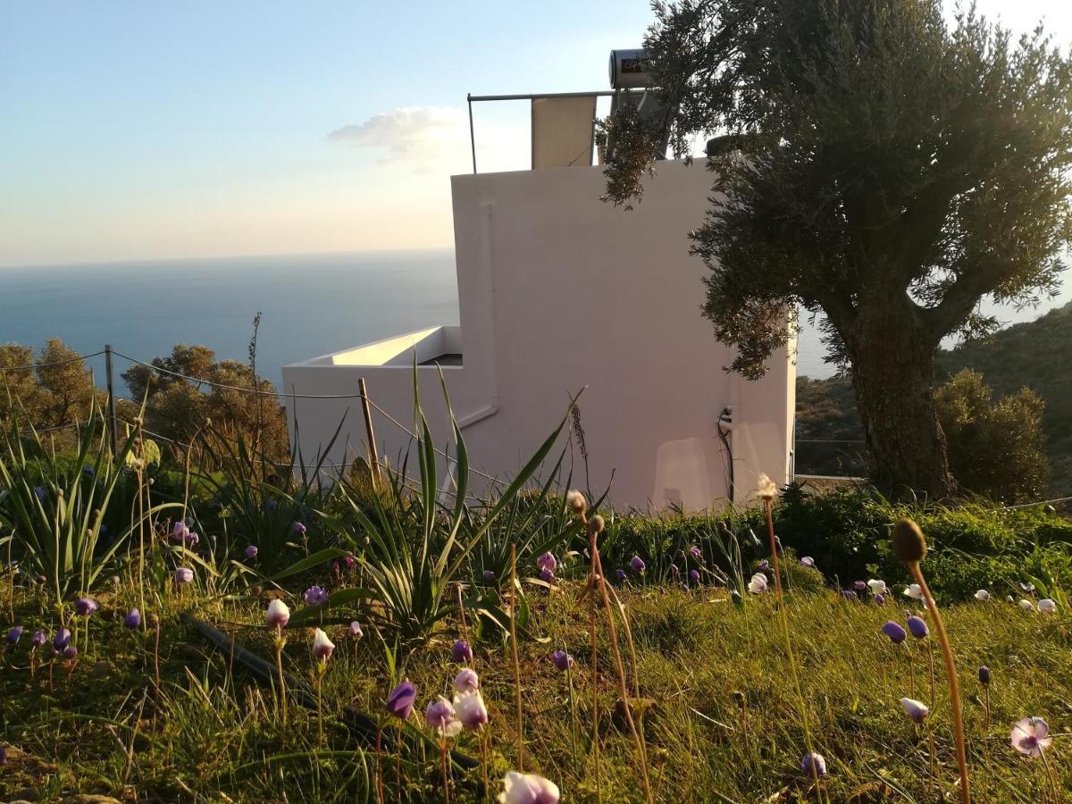 Sea Breeze Ecological Villa Ajía Galíni Kültér fotó